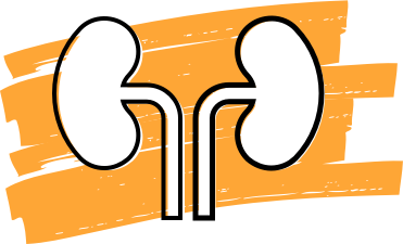 graphical abstract kidney international