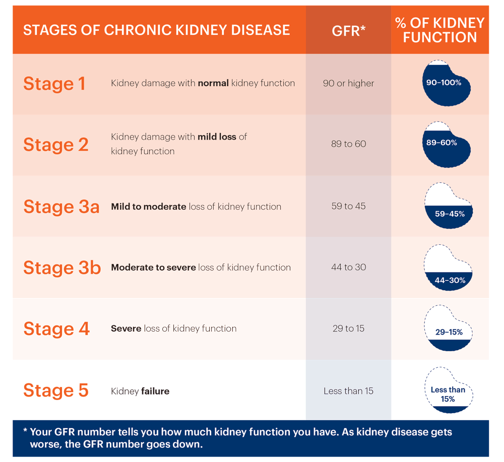 Stage Description (GFR) At increased risk Risk factors for kidney disease (e.g., diabetes, high blood pressure, family history, older age, ethnic group) More than 90 Stage 1 Kidney damage with normal kidney function 90 or above Stage 2 Kidney damage with mild loss of kidney function 89 to 60 Stage 3a Mild to moderate loss of kidney function 59 to 44 Stage 3b Moderate to severe loss of kidney function 44 to 30 Stage 4 Severe loss of kidney function 29 to 15 Stage 5 Kidney failure Less than 15 Your GFR number tells you how much kidney function you have. As kidney disease gets worse, the GFR number goes down.