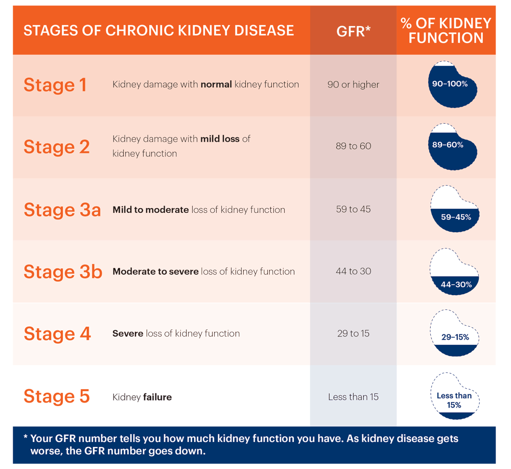 GFR and the Stages of Chronic Kidney Disease