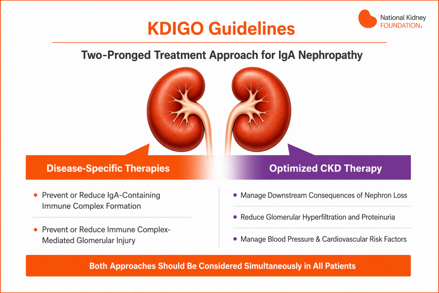 Figure 1. KDIGO Two-Pronged Treatment Approach for IgA Nephropathy