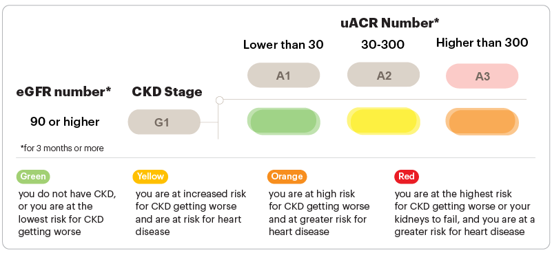 CKD Stage G1 Heatmap eGFR values