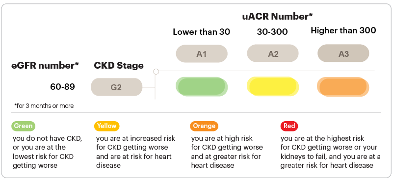 CKD Stage G2 heatmap with eGFR values