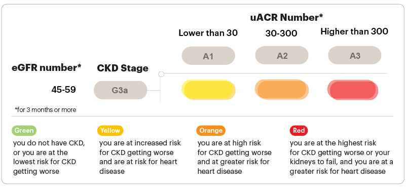 CKD Stage G3a Heatmap eGFR values