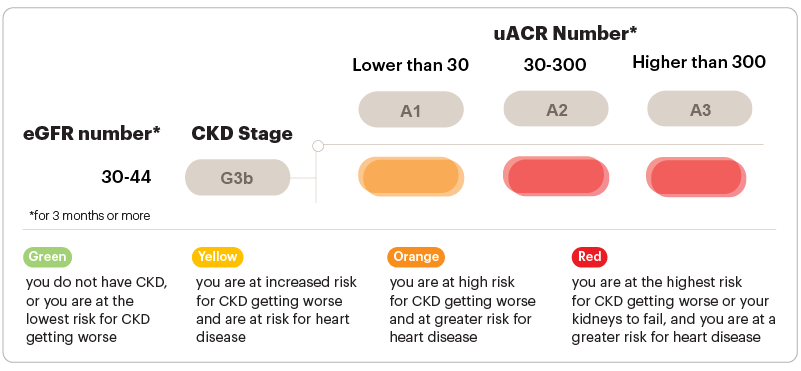 CKD Stage G3b Heatmap eGFR values