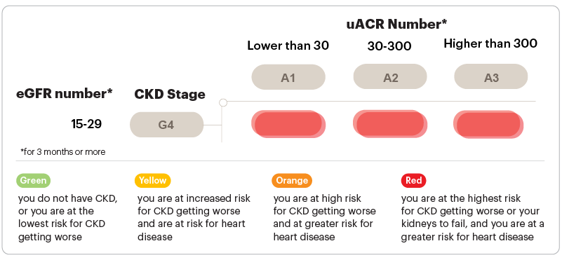 eGFR 15-29 CKD Stage G4 chart