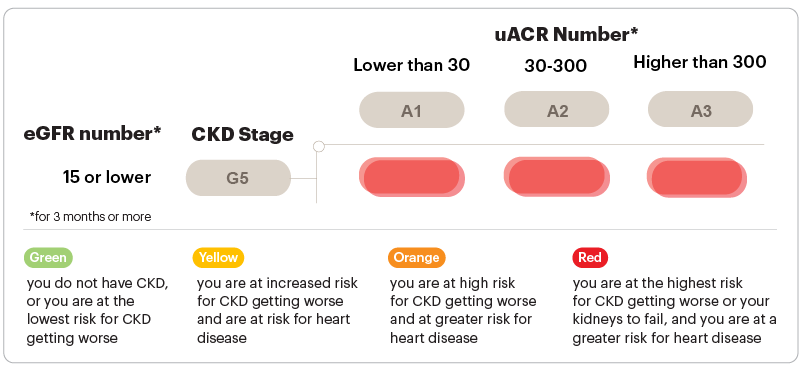 eGFR number 15 or lower chart