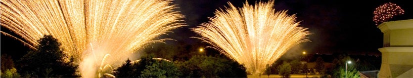 a garden with fireworks going off