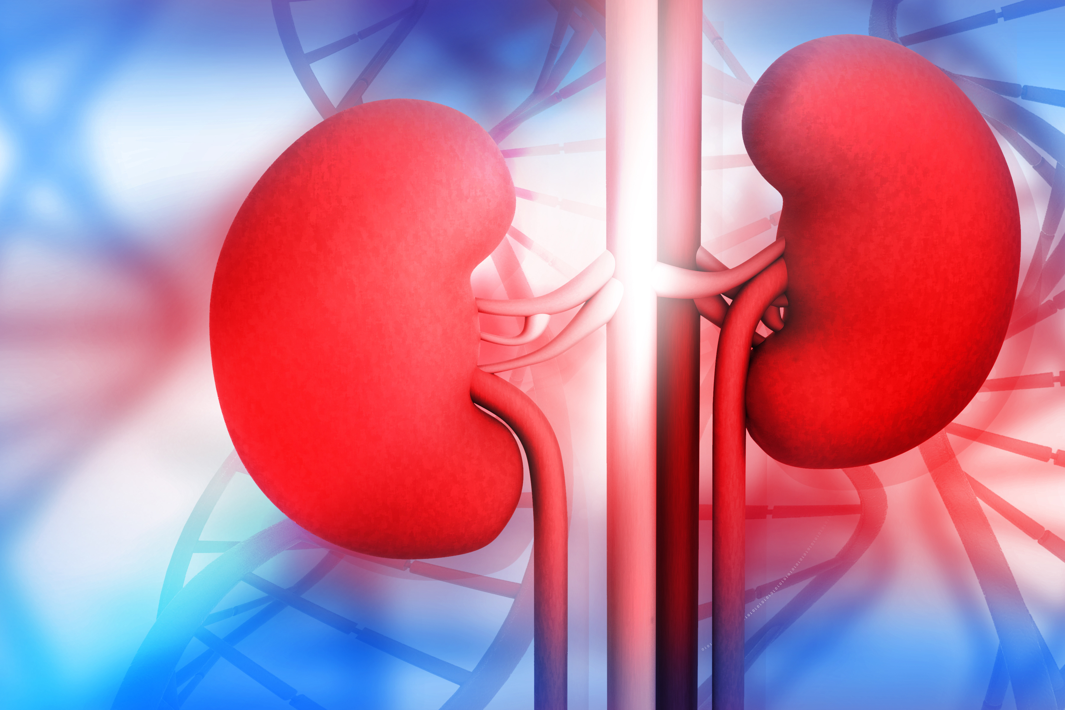 kidney-disease-national-kidney-foundation