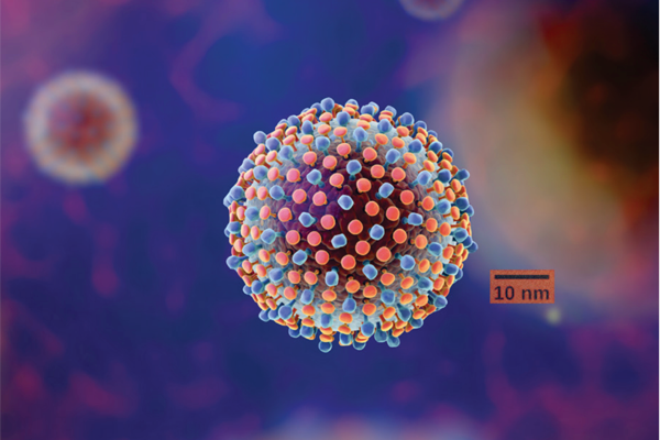 Hepatitis C Hepatitis C