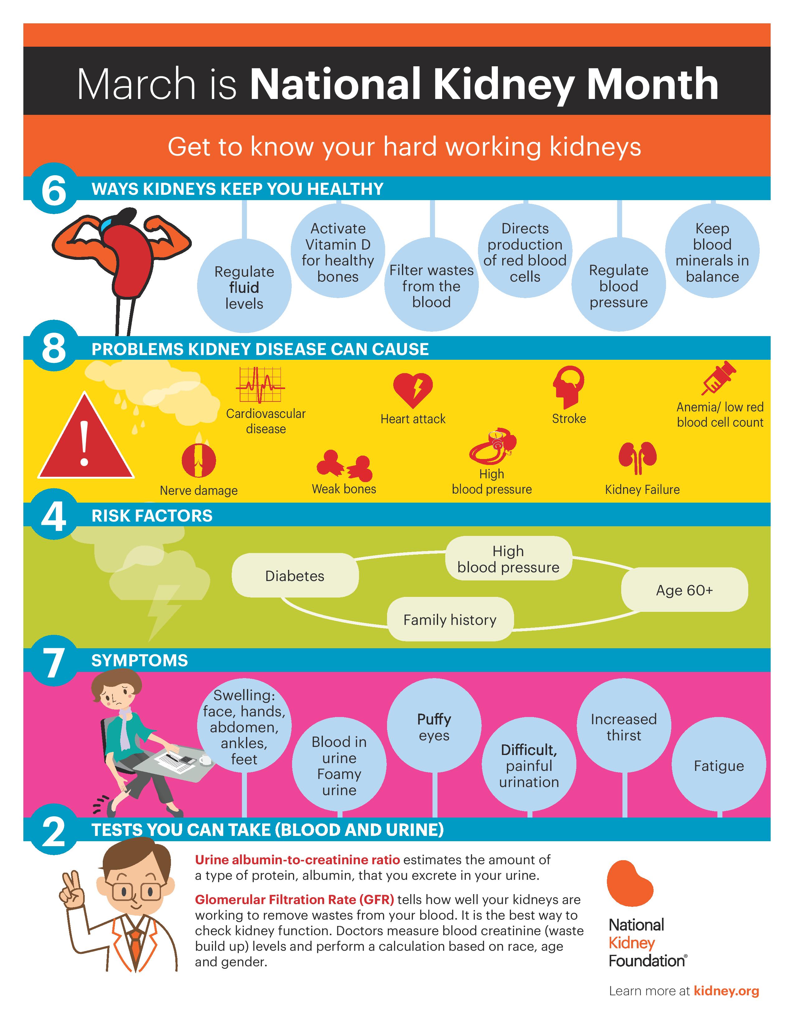 National Kidney Month Infographic