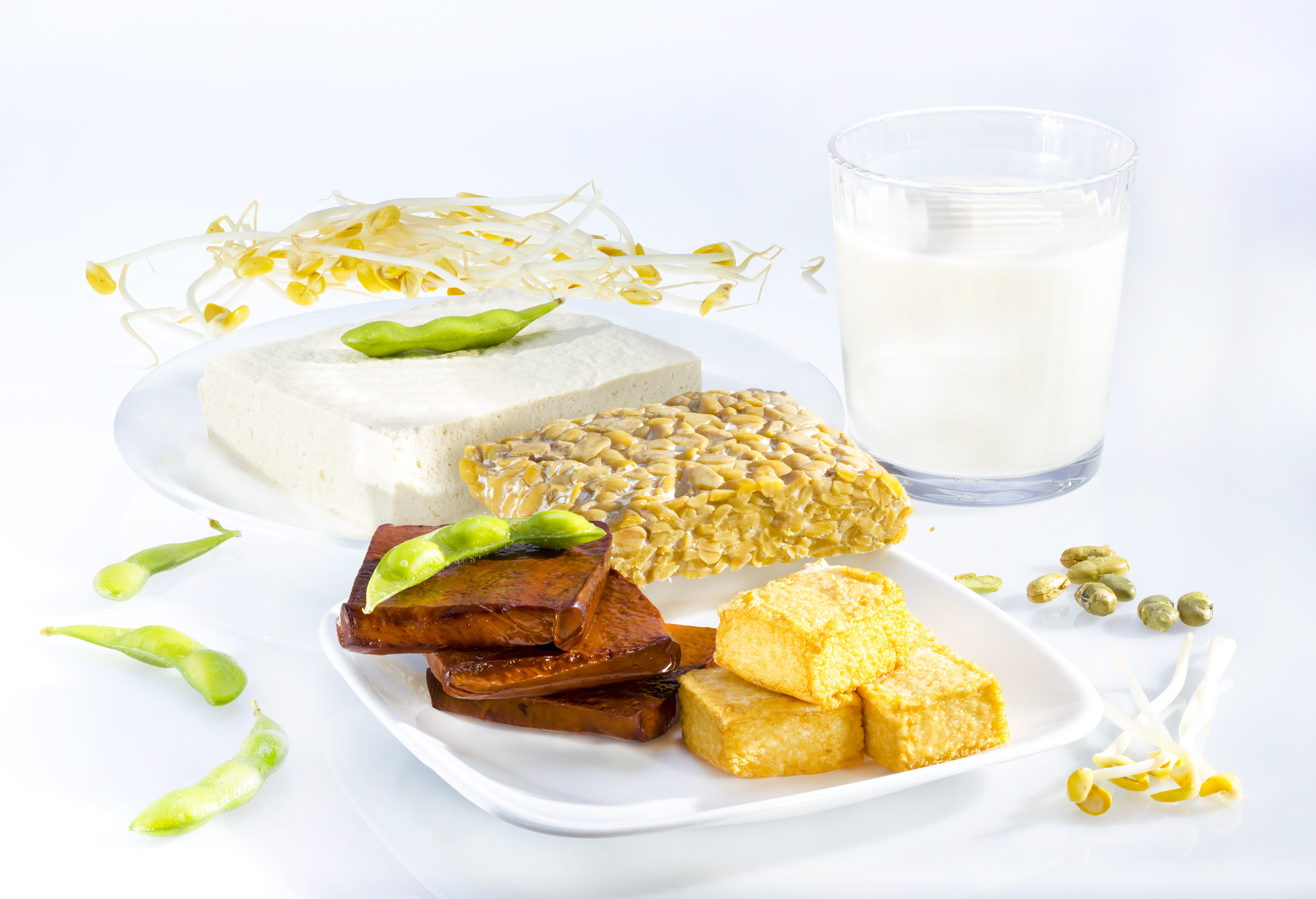 Plant Protein May Be Associated with Reduced Mortality in