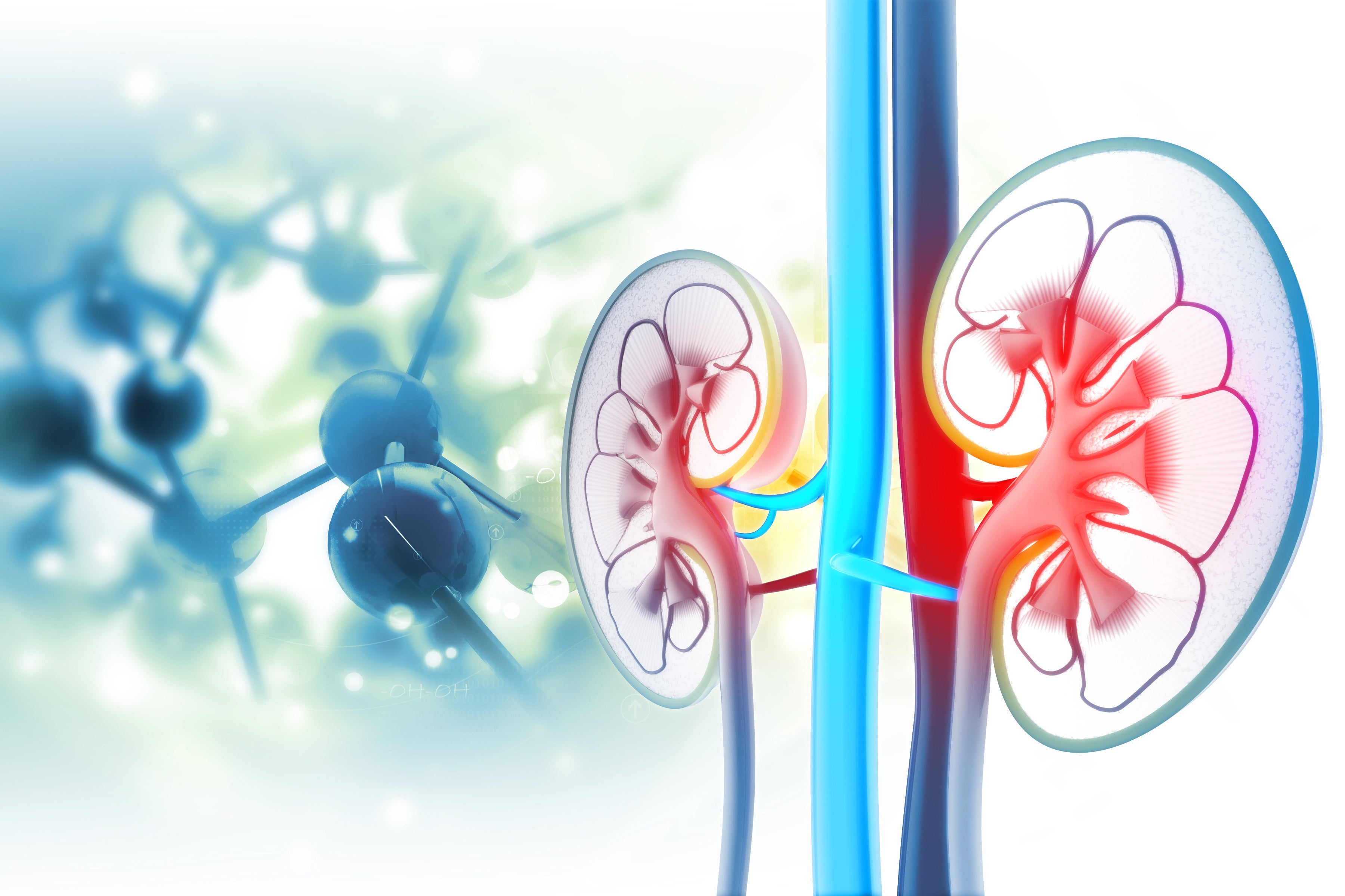 medical research kidney diseases