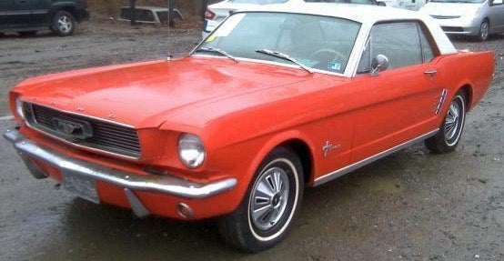Mustang