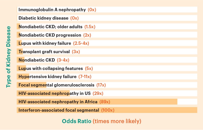 APOL1 Variants Leading to Increased Likelihood of Kidney Disease Development