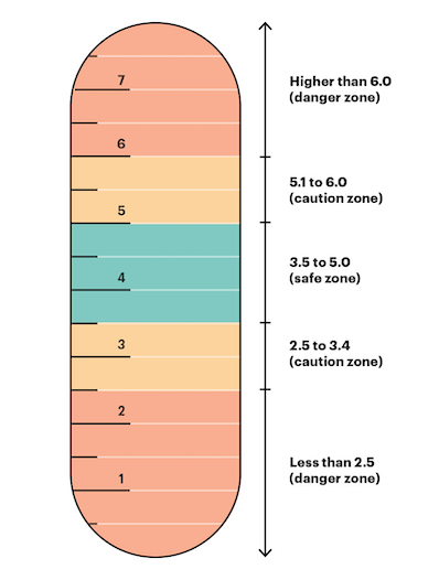 Graphic representation of relative concern at different potassium levels.