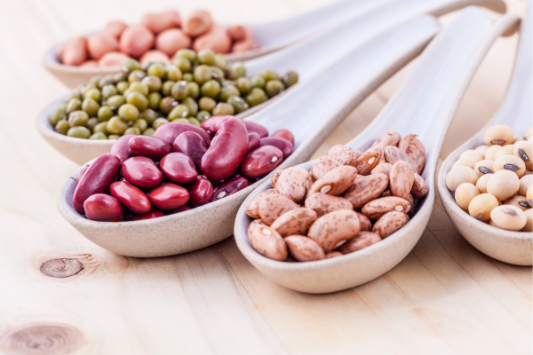 Four large spoons with chickpeas, kidney beans, green lentils, and black eye beans