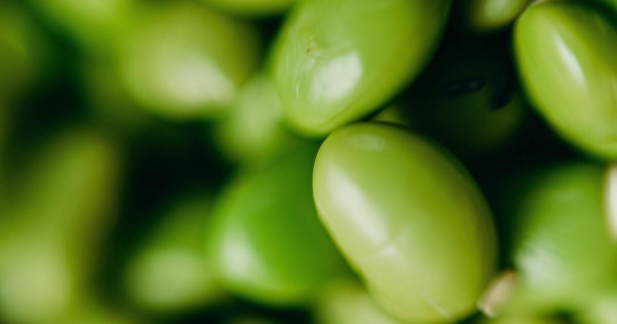 Beans National Kidney Foundation