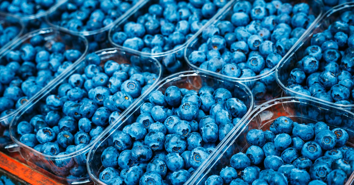 cartons of blueberries