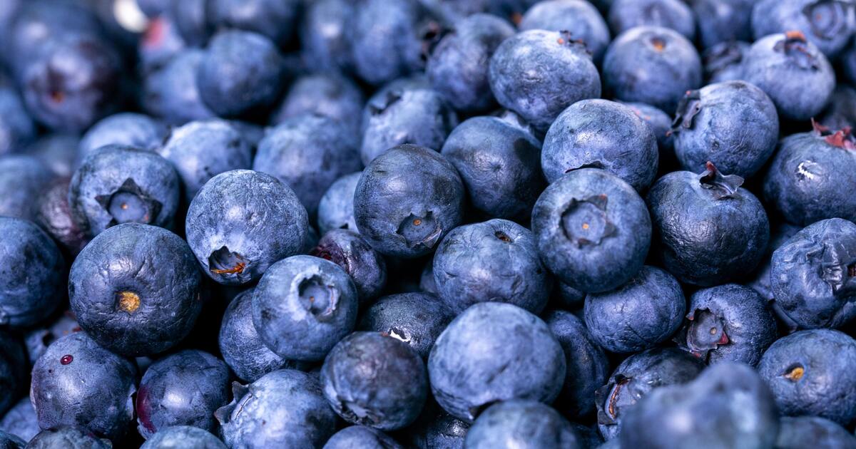 Blueberries National Kidney Foundation