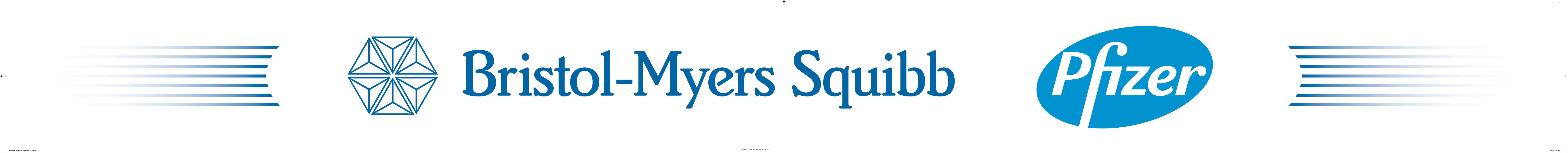 Bristol Meyers Bristol Myers