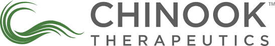 Chinook logo