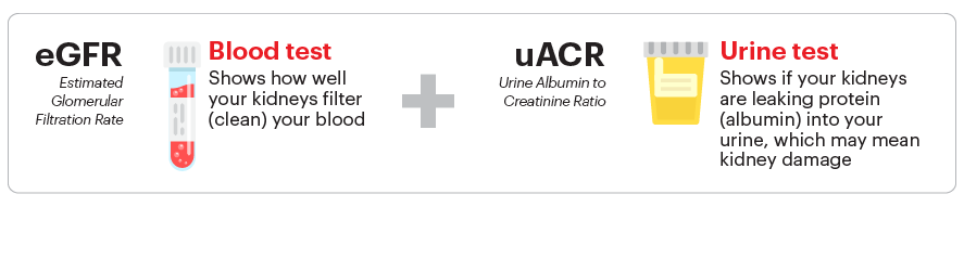 Blood test tube and urine test