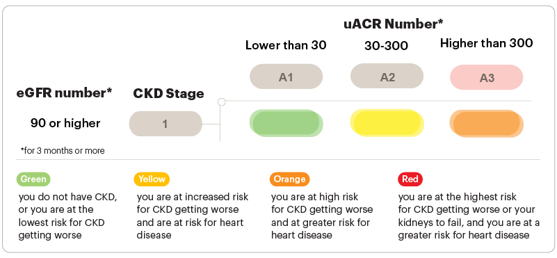 Graphic about GFR and uACR numbers