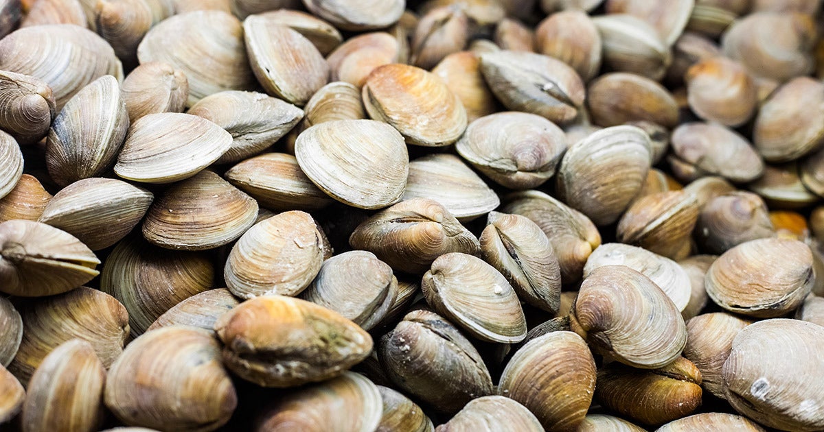 Clams