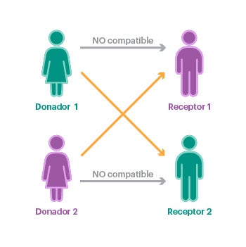 El intercambio de donantes ayuda a emparejar parejas de donantes y a “intercambiarlas” para conseguir una mejor compatibilidad. El centro de trasplante le informará de sus opciones.