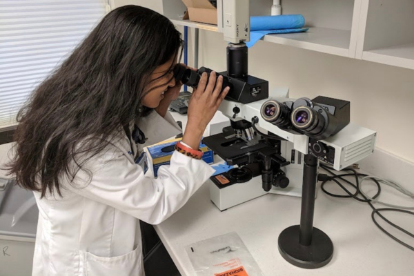 Dr. Mohottige looking through a microscope