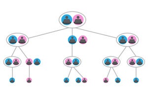 family tree