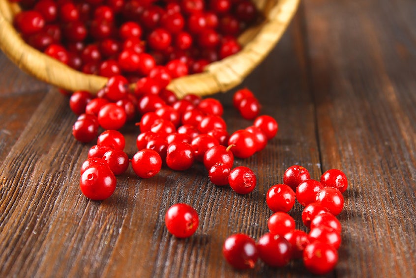 Favorite Cranberry Salad Favorite Cranberry Salad