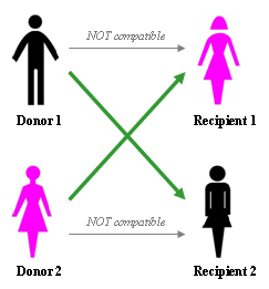 In paired exchange, an incompatible donor/recipient pair (incompatible blood types) are matched with another incompatible donor/recipient pair for a "swap". Each donor gives a kidney to the other person's intended recipient.