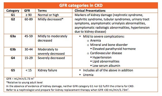 Kidney Function Test Normal Range Chart