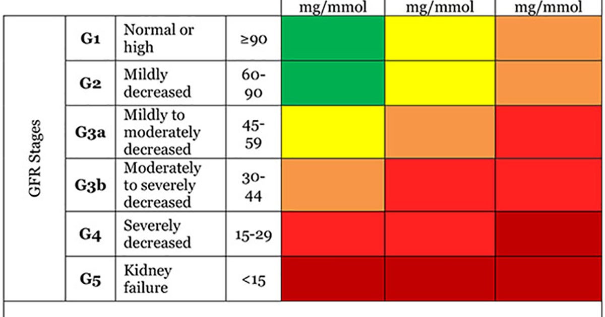 Kidney Function Percent Chart