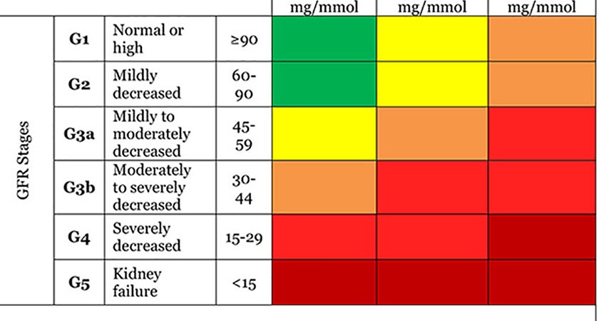 Gfr Chart