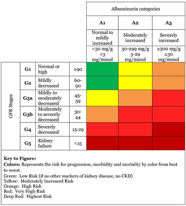 Kidney Function Levels Chart Wordacross