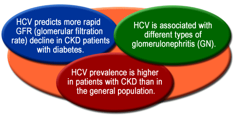 Evaluation And Treatment Of Hepatitis C In Patients With Chronic