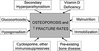 Osteo