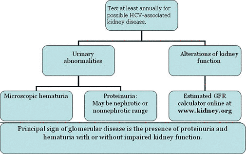 Diagnosis And Management Of Kidney Disease Associated With