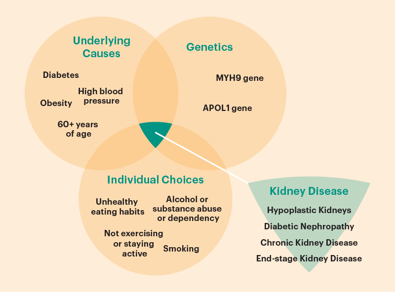 Factors contributing to kidney disease venn diagram