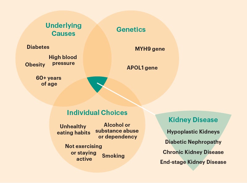 Genetics And Kidney Disease
