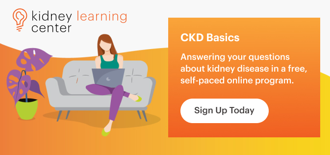 Kidney Learning Center's CKD Basics Course. Answering your questions about kidney disease in a free, self-paced online program. Sign up today.