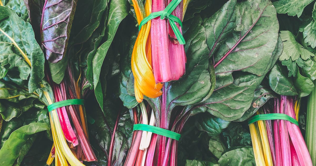 pile of rainbow chard