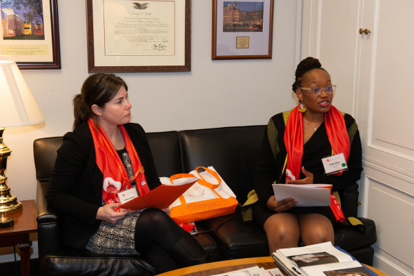 Two advocates in a congress member's office