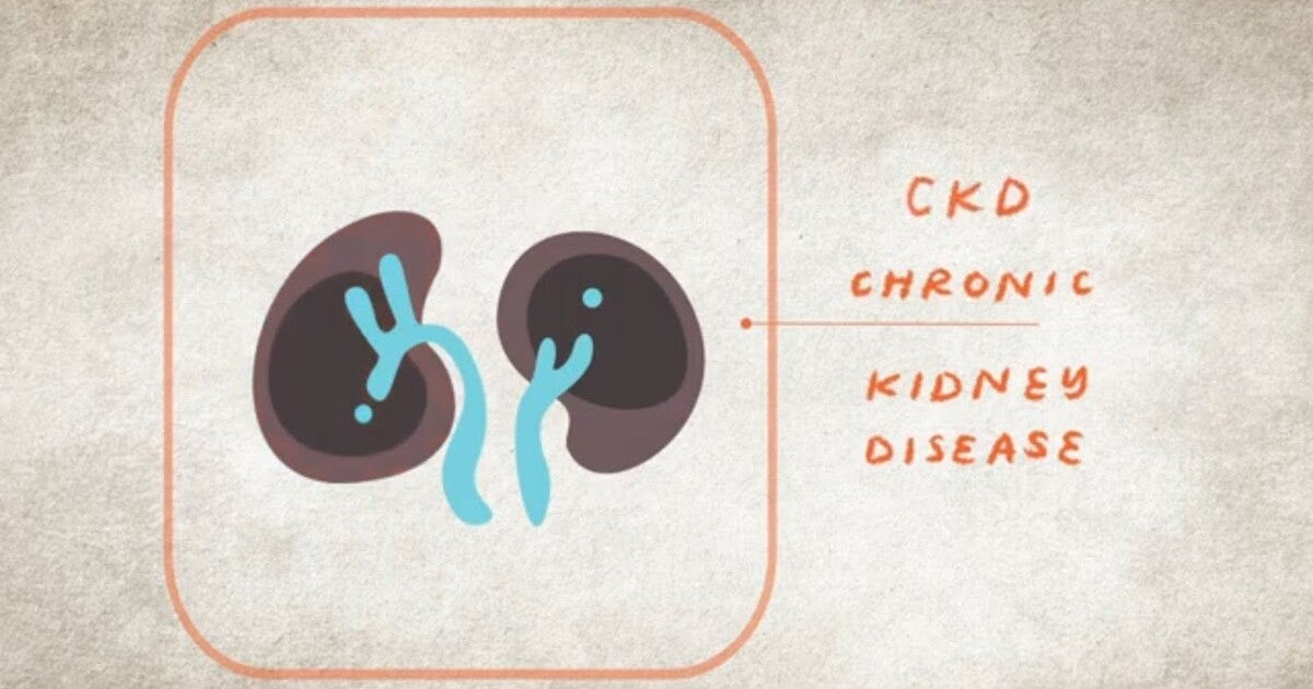 NKF Launches Educational Animated Video Series on Chronic Diseases