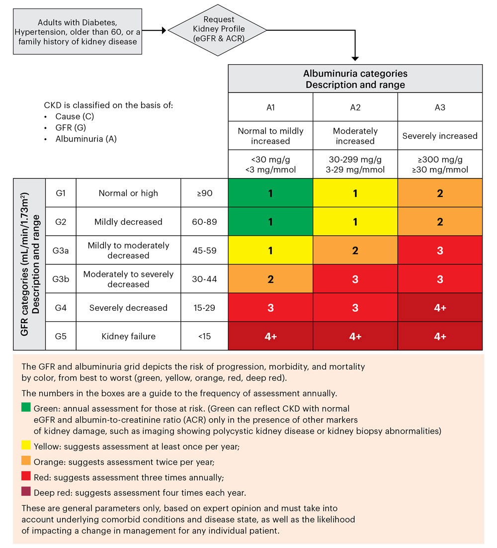 Utilizing values of guideline-concordant testing for CKD, estimated glomerular filtration rate (eGFR) and urine albumin-to-creatinine ratio (uACR), the CKD "heat map" demonstrates risk of progression with suggested frequency for assessment.