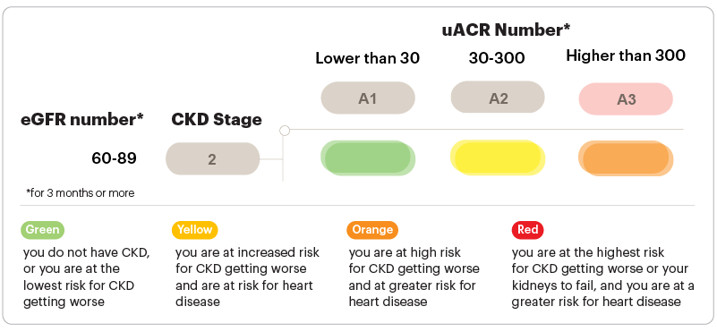 Graphic about GFR and uACR numbers Stage 2