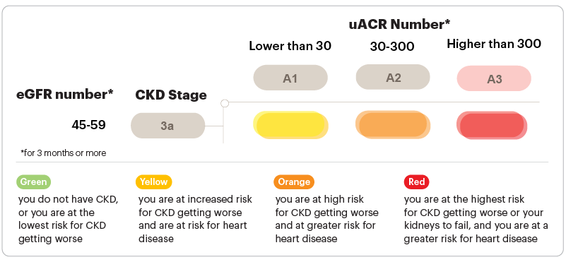 Graphic about GFR and uACR numbers Stage 3a