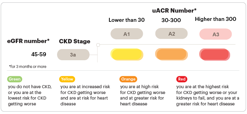 Stage 3a Chronic Kidney Disease CKD National Kidney Foundation